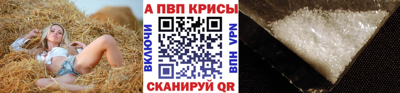 купить наркотик  Курчалой  МЕГА ONION  APVP СК 