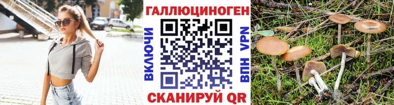 Псилоцибиновые грибы GOLDEN TEACHER  Курчалой 